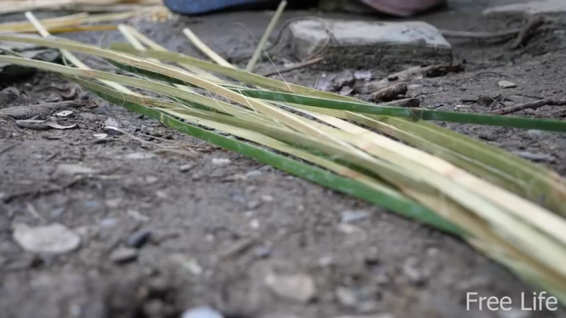 更新1季 收拾新住所 桃花源(11)深入荒野隐居修仙,建设世外桃源投个币吧