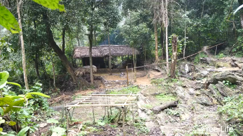 更新扫把(22)深入荒野隐居修仙,建设世外桃源投个币吧