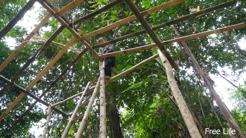 更新新建厨房(24)深入荒野隐居修仙,建设世外桃源投个币吧