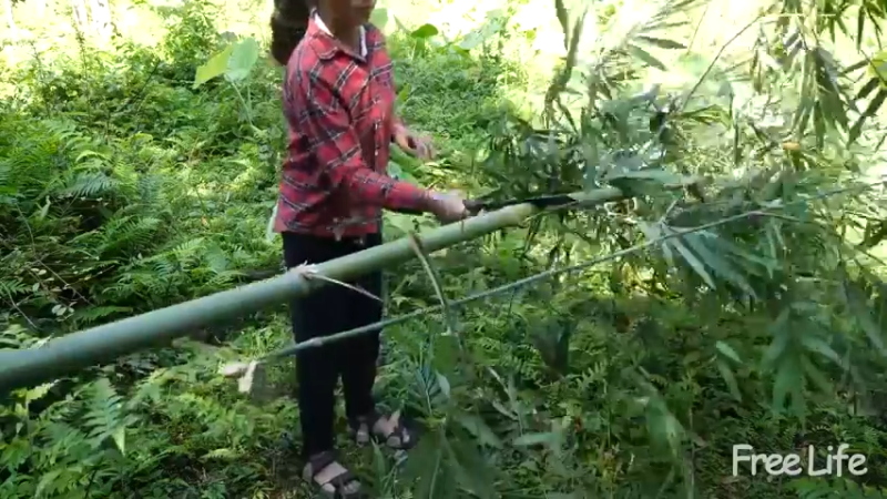 更新制做家具 定居下来(3)深入荒野隐居修仙,建设世外桃源投个币吧