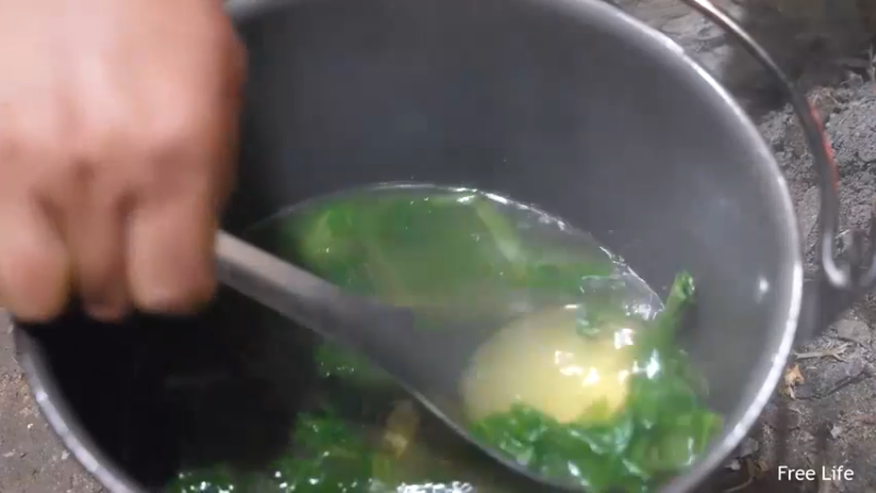 更新捕捉新鲜的鱼 制作传统鱼(14)深入荒野隐居修仙,建设世外桃源投个币吧