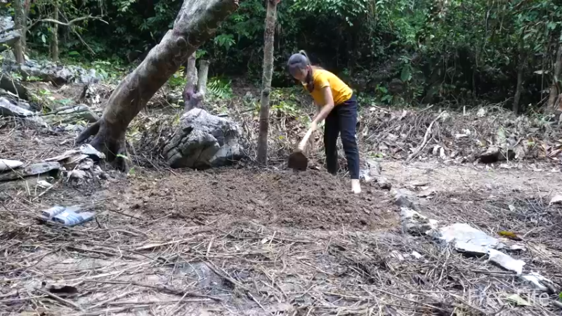 更新1季种点菜住下来(2)深入荒野隐居修仙,建设世外桃源投个币吧