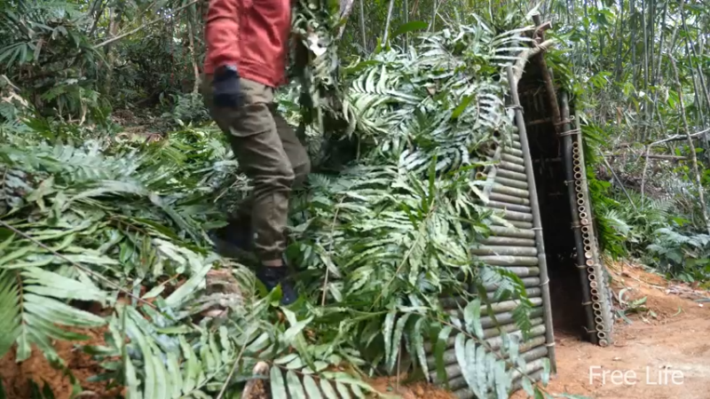 更新在山里度过节日(17)深入荒野隐居修仙,建设世外桃源投个币吧