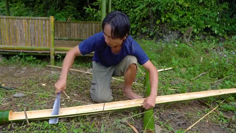 【野生放送】_竹制吊床  热带雨林与我