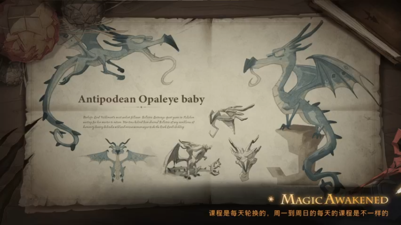 哈利波特_魔法觉醒++级魔法书！极限冲分(5014)视觉盛宴