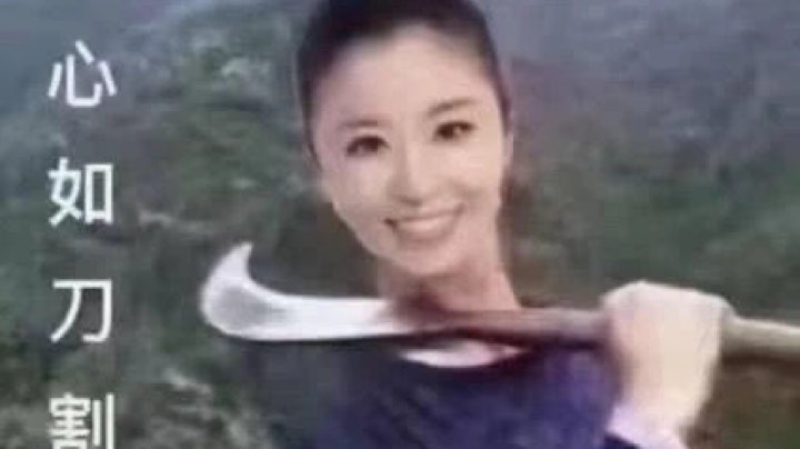 心如刀割，一盘没赢