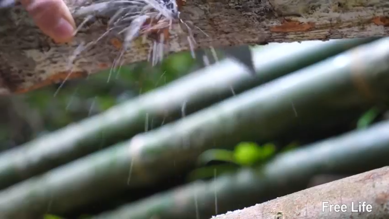更新制作过小溪的木桥(10)深入荒野隐居修仙,建设世外桃源投个币吧