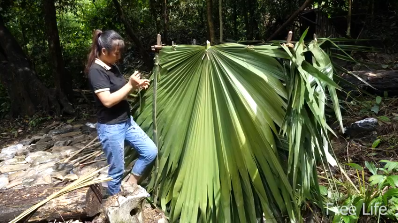 更新1季用山泉淋浴(18)深入荒野隐居修仙,建设世外桃源投个币吧