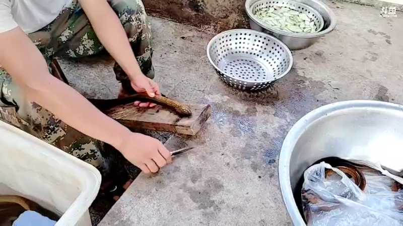 【2021-09-28 17点场】洪湖小肖：巨坑已干搞麻鳝