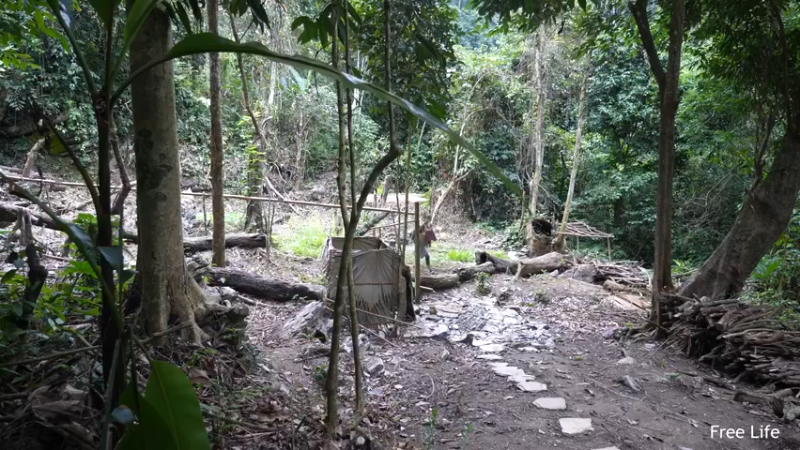 更新捕捉新鲜的鱼 制作传统鱼(9)深入荒野隐居修仙,建设世外桃源投个币吧
