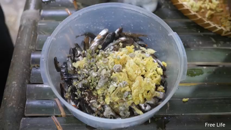 更新捕捉新鲜的鱼 制作传统鱼(13)深入荒野隐居修仙,建设世外桃源投个币吧