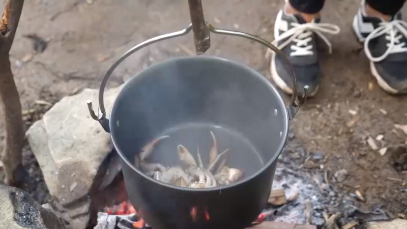更新1季第一次离家入山(8)深入荒野隐居修仙,建设世外桃源投个币吧