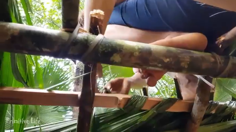 偏远边塞 云南妹子丛林之家(13)更新day9