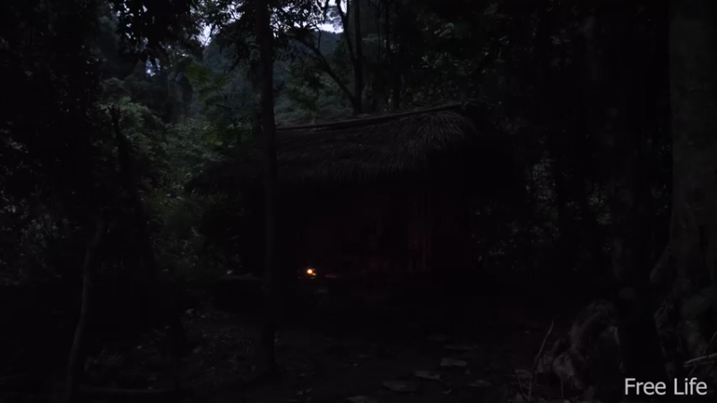 更新1季暂时还住临时小屋(12)深入荒野隐居修仙,建设世外桃源投个币吧