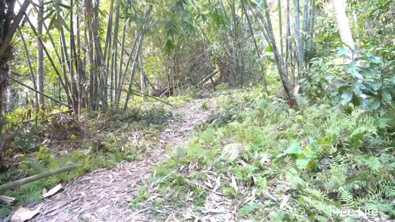 更新新建厨房(16)深入荒野隐居修仙,建设世外桃源投个币吧
