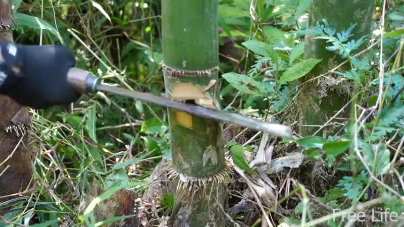更新1季 收拾新住所 桃花源(9)深入荒野隐居修仙,建设世外桃源投个币吧