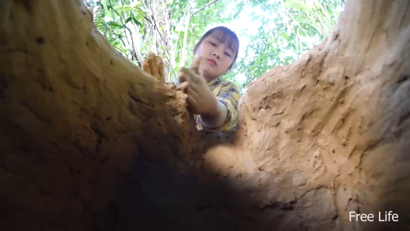 更新 我在深山建厨房(11)深入荒野隐居修仙,建设世外桃源投个币吧