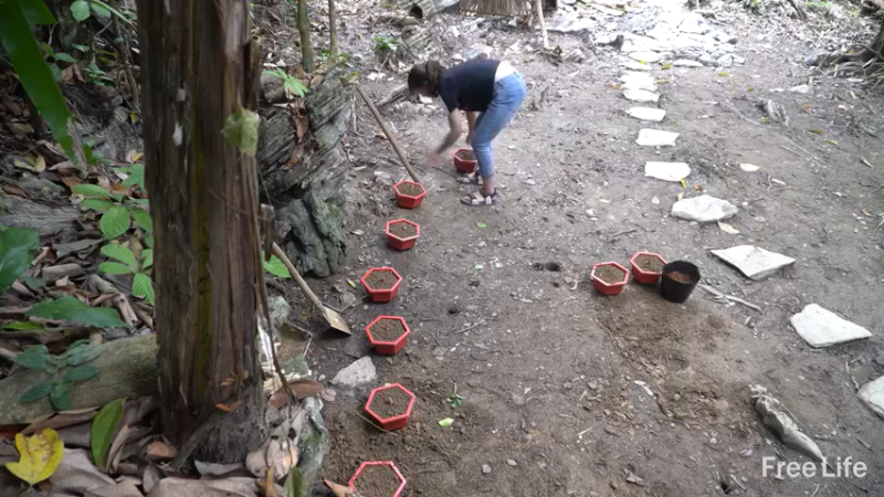 更新制作日用家居(6)深入荒野隐居修仙,建设世外桃源投个币吧