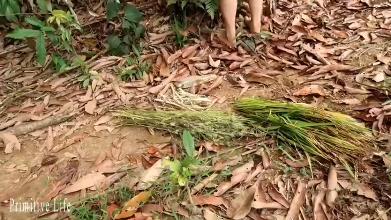 偏远边塞 云南妹子丛林之家(4)更新day20