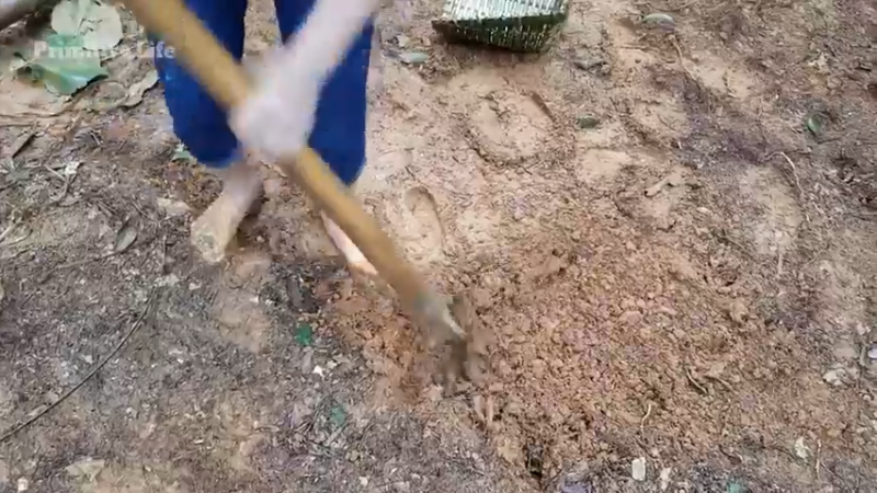 偏远边塞 云南妹子丛林之家(4)更新4