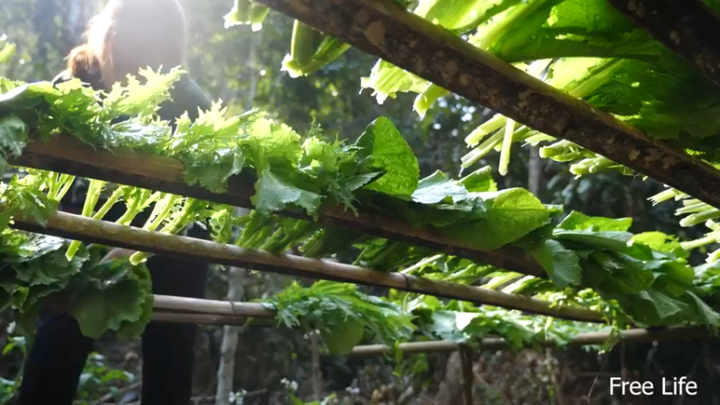 更新 制作厨具传统泡菜(23)深入荒野隐居修仙,建设世外桃源投个币吧