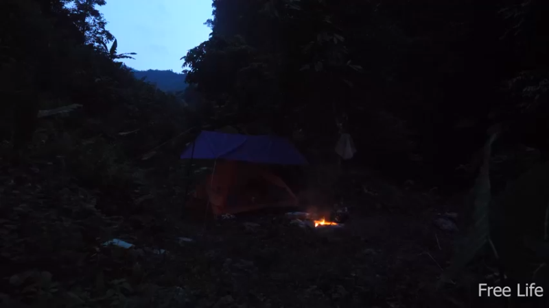 更新1季必须吃点新鲜的(16)深入荒野隐居修仙,建设世外桃源投个币吧