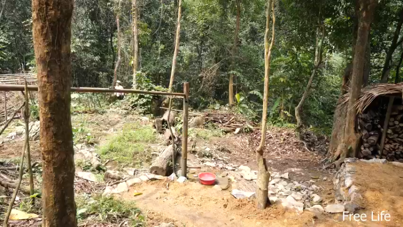 更新树wc(7)深入荒野隐居修仙,建设世外桃源投个币吧
