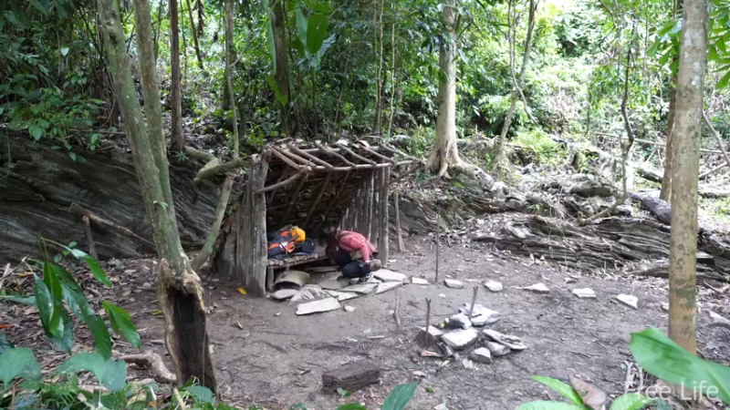 更新1季搭建安居小屋 就是这里吧！(2)深入荒野隐居修仙,建设世外桃源投个币吧