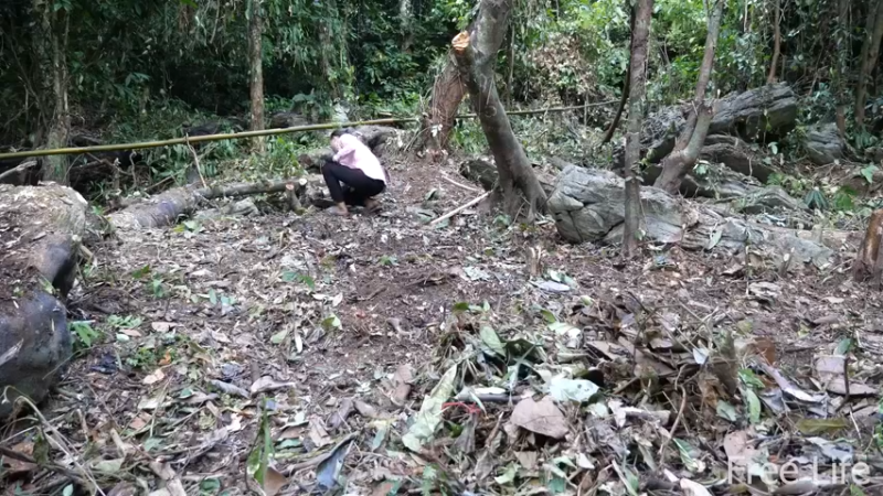 更新1季 收拾新住所 桃花源(5)深入荒野隐居修仙,建设世外桃源投个币吧