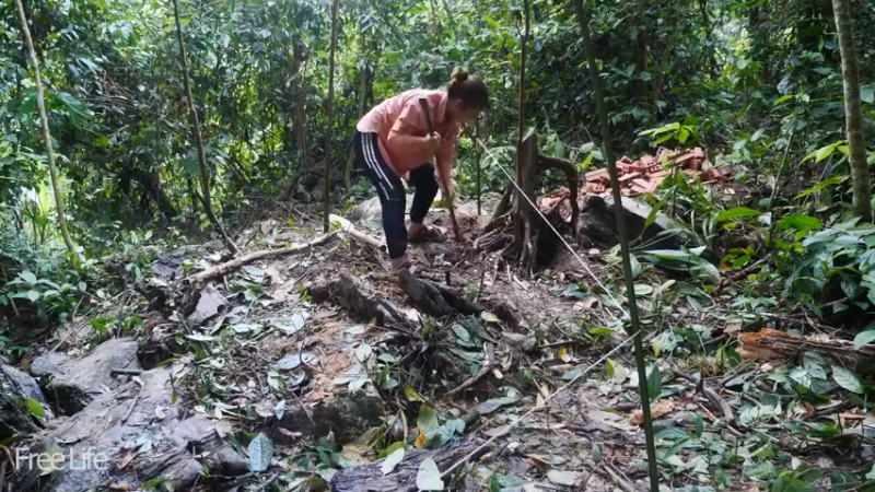 更新瀑布(6)深入荒野隐居修仙,建设世外桃源投个币吧
