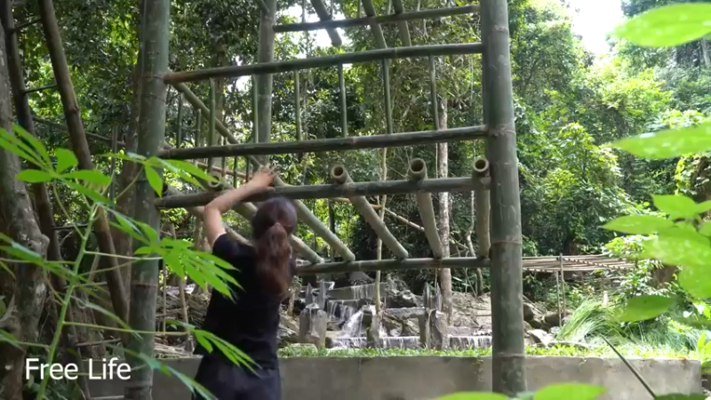 更新休闲亭子(3)深入荒野隐居修仙,建设世外桃源投个币吧