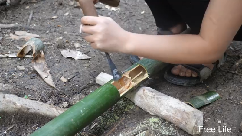 更新有水管了(10)深入荒野隐居修仙,建设世外桃源投个币吧