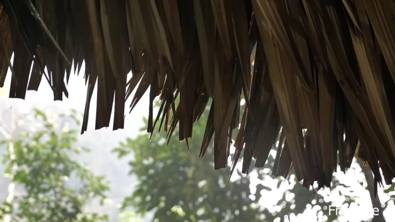 更新扫把(11)深入荒野隐居修仙,建设世外桃源投个币吧