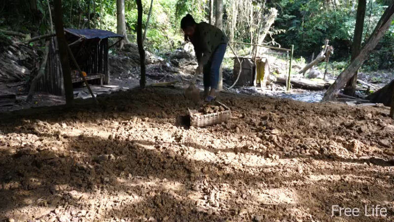 更新1季房间的墙壁和地板(3)深入荒野隐居修仙,建设世外桃源投个币吧