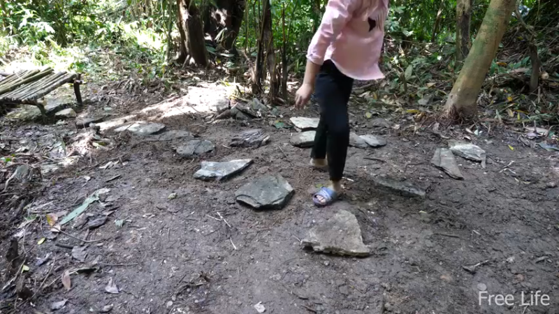更新1季在小溪变选择活水(15)深入荒野隐居修仙,建设世外桃源投个币吧