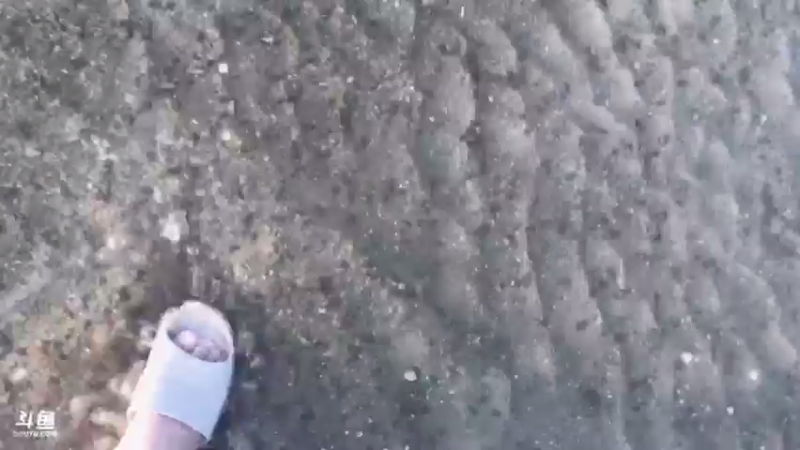 【2021-09-28 17点场】解说TH：TH:开局一把刀，装备全靠吹