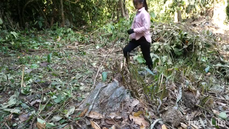 更新1季 收拾新住所 桃花源(6)深入荒野隐居修仙,建设世外桃源投个币吧