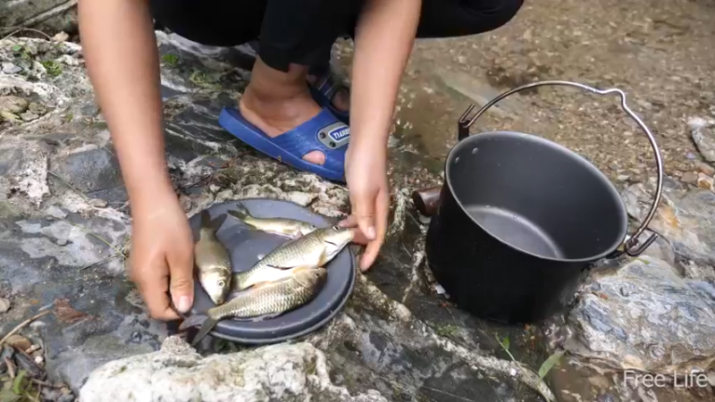 更新1季必须吃点新鲜的(14)深入荒野隐居修仙,建设世外桃源投个币吧