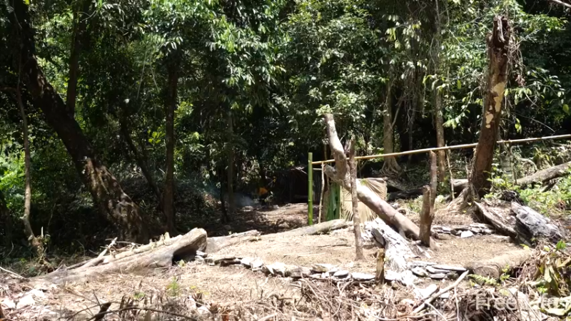 更新1季种点菜住下来(10)深入荒野隐居修仙,建设世外桃源投个币吧