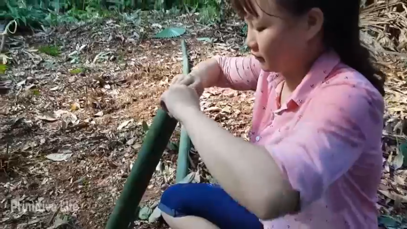 偏远边塞 云南妹子丛林之家(7)更新day2