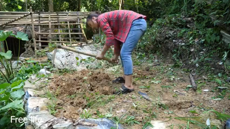 更新 磨面机器(3)深入荒野隐居修仙,建设世外桃源投个币吧