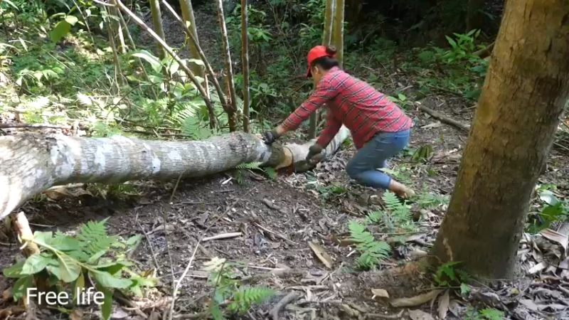 更新 磨面机器(13)深入荒野隐居修仙,建设世外桃源投个币吧