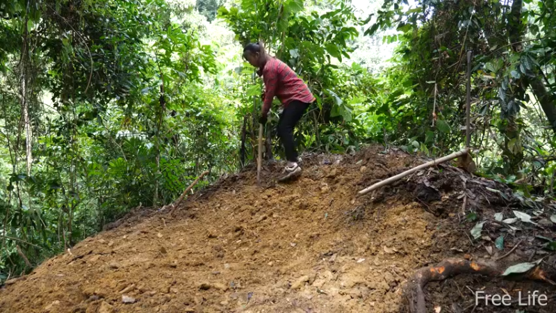 更新1季搭建安居小屋 就是这里吧！(4)深入荒野隐居修仙,建设世外桃源投个币吧