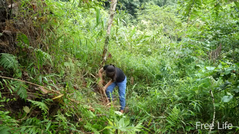 更新1季用山泉淋浴(4)深入荒野隐居修仙,建设世外桃源投个币吧