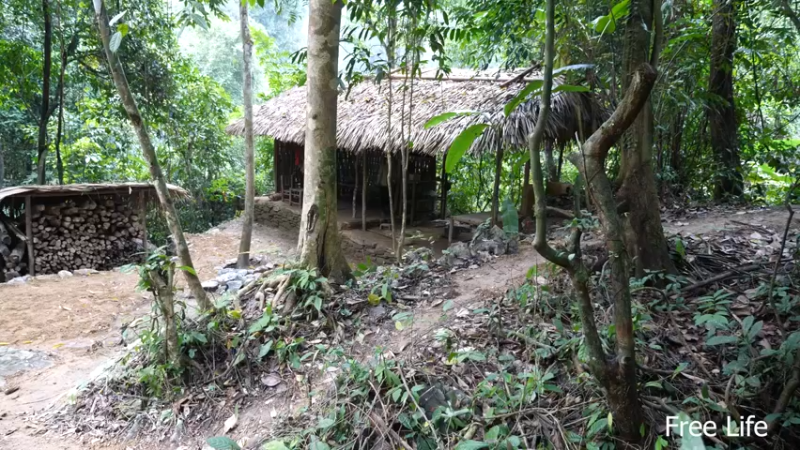 更新扫把(24)深入荒野隐居修仙,建设世外桃源投个币吧