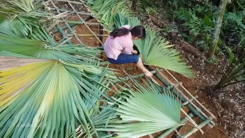 偏远边塞 云南妹子丛林之家(20)更新day5
