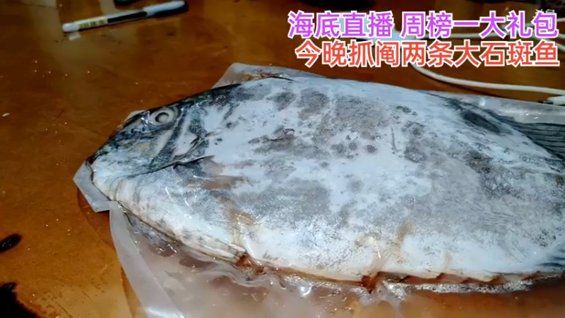 【2021-09-28 21点场】海道丶：海道丶天然美食开始啦！