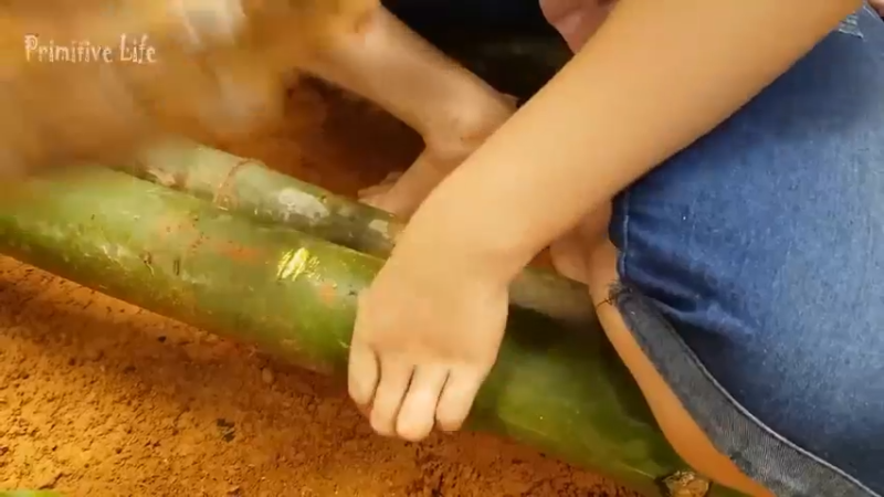 偏远边塞 云南妹子丛林之家(10)更新day7