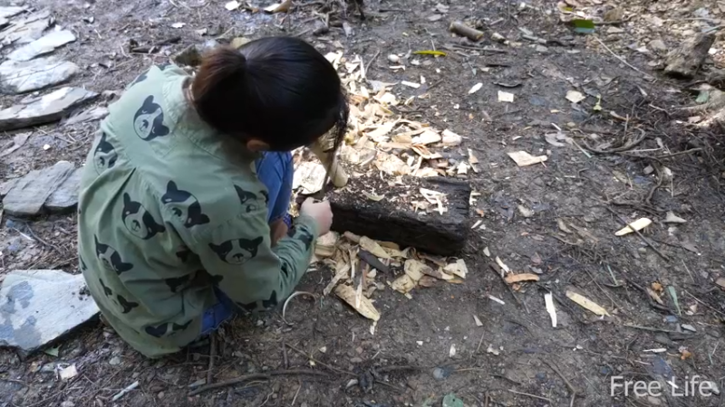 更新1季房间的墙壁和地板(2)深入荒野隐居修仙,建设世外桃源投个币吧