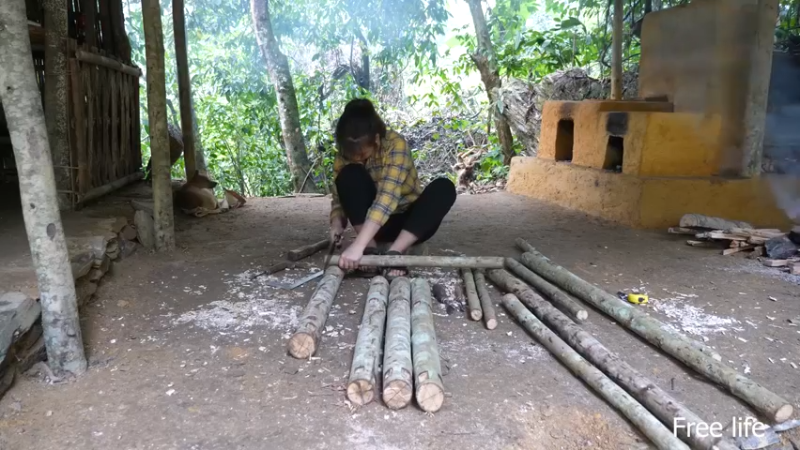更新 餐桌(14)深入荒野隐居修仙,建设世外桃源投个币吧